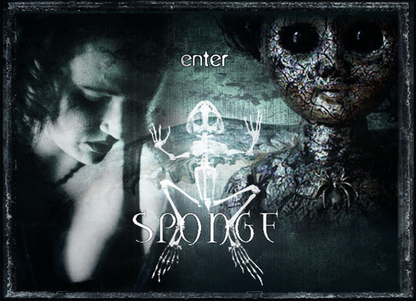 enter Sponge